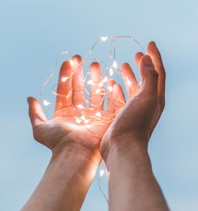 Non-for-Profit Organisations